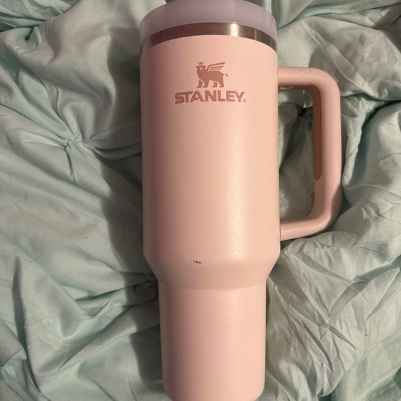 Stanley pink 40 oz a little damaged has a dog print that says Bailey - Picture 1 of 5